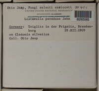 Image Associated With the Occurence